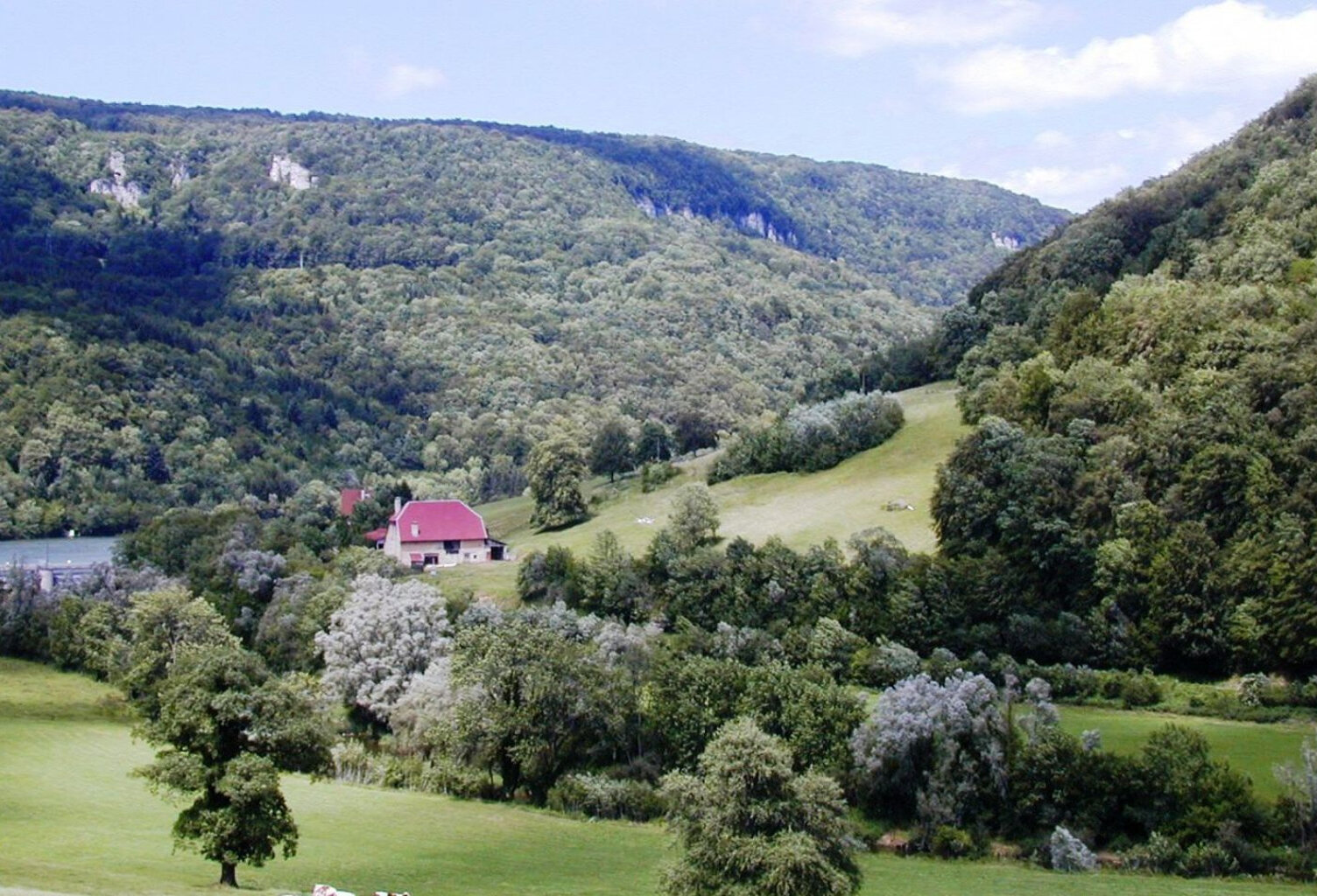 Vente propriété commerciale + 4 appartements, terrain de 2 h — photo 1