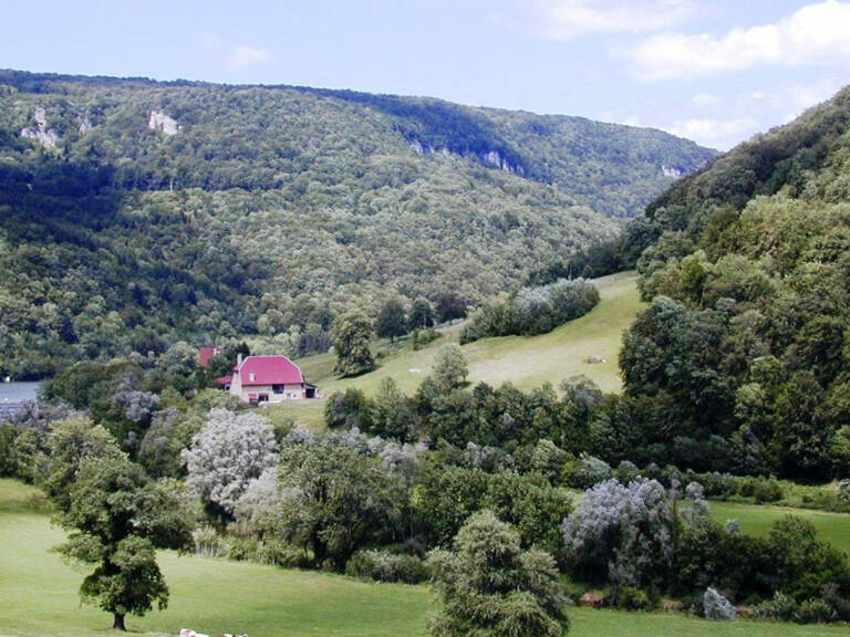 Vente propriété commerciale + 4 appartements, terrain de 2 h — photo 1