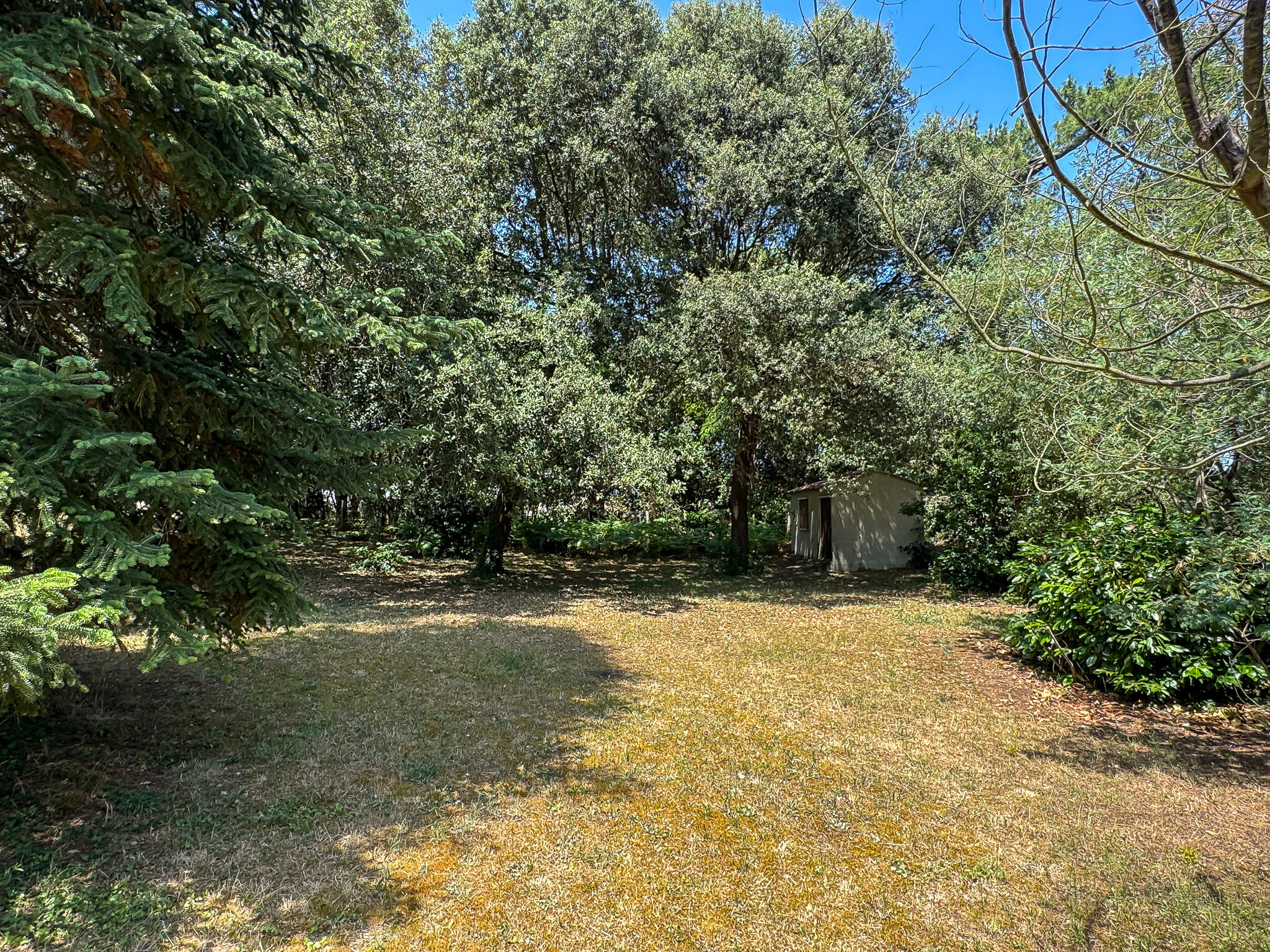 Terrain 4 pièces  à vendre Saint-Palais-sur-Mer 17420