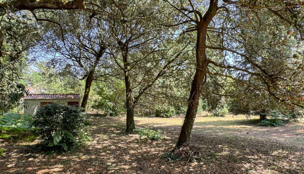 Terrain 4 pièces  à vendre Saint-Palais-sur-Mer 17420