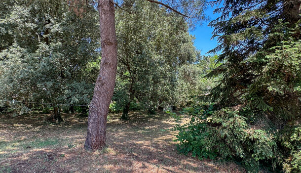 Terrain 4 pièces  à vendre Saint-Palais-sur-Mer 17420