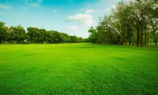 Terrain  650 m² à vendre à Viré (71260)