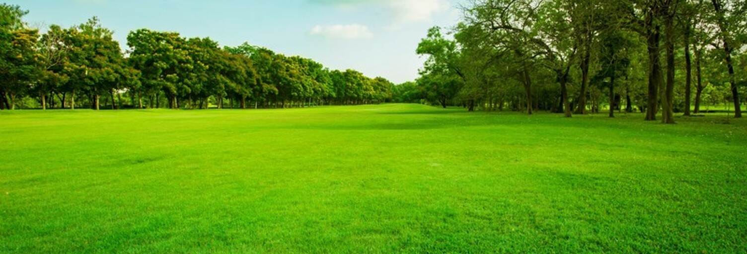 Terrain  650 m² à vendre à Viré (71260)