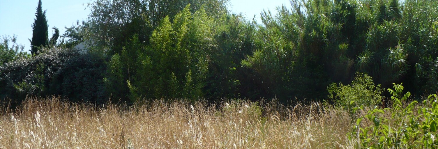 Terrain  2300 m² à vendre à Manosque (04100)