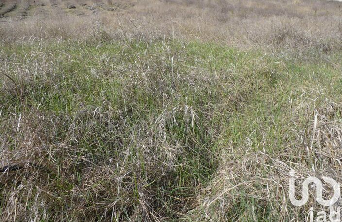 Vente Terrain à bâtir 2 300 m&sup2; — photo 5