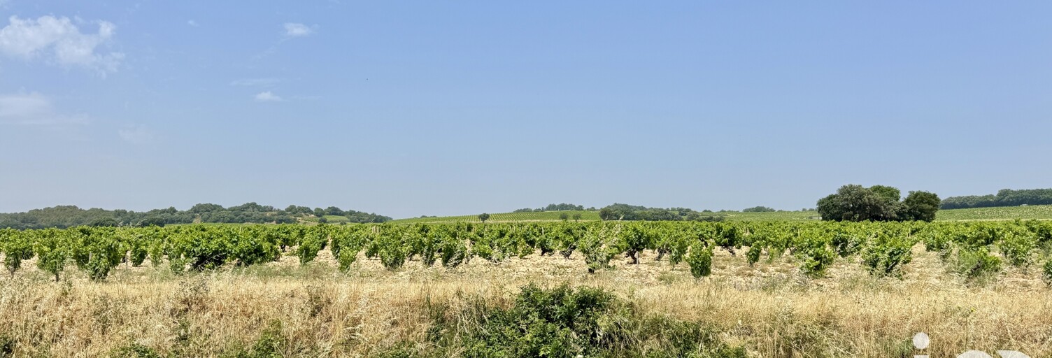 Terrain  650 m² à vendre à Bédarrides (84370)