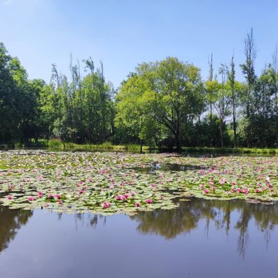 Maison 8 pièces 287000 €