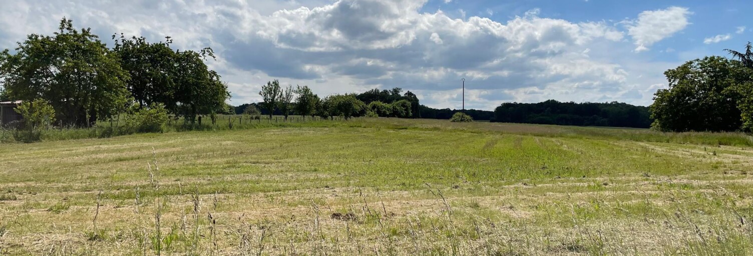 Terrain  5521 m² à vendre à Saint-Sérotin (89140)