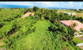 Terrain  970 m² à vendre à Basse-Pointe (97218)