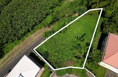 Terrain 970m² BASSE POINTE — photo du bien