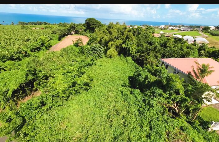 Terrain 970m² BASSE POINTE — photo 3