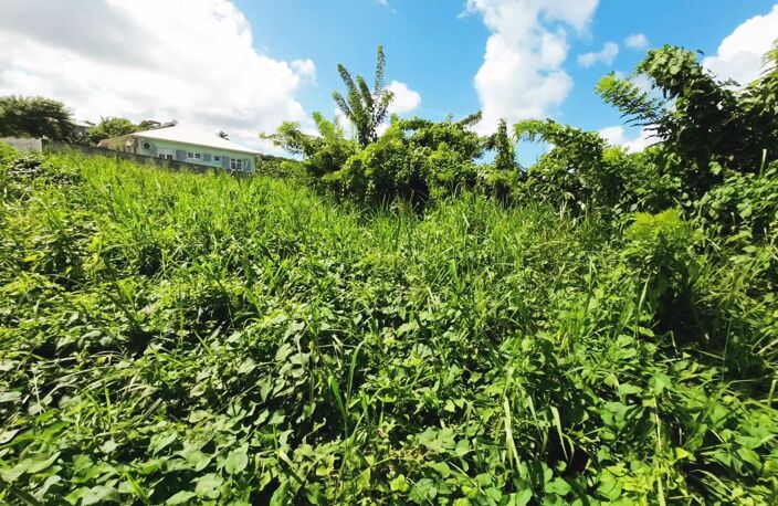 Terrain 970m² BASSE POINTE — photo 4