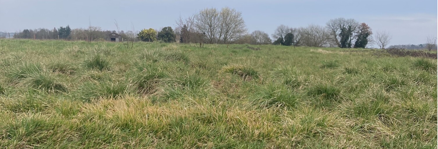 Terrain 2052 m² à construire Monségur (33580)