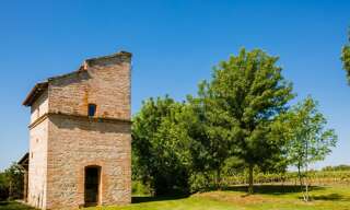 Maison 20 Pièces 557 m² à vendre à Salvagnac (81630)