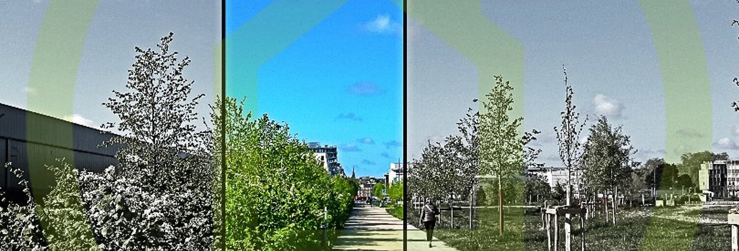 Bureau 1 Pièce 10 m² à louer à Angers (49000)