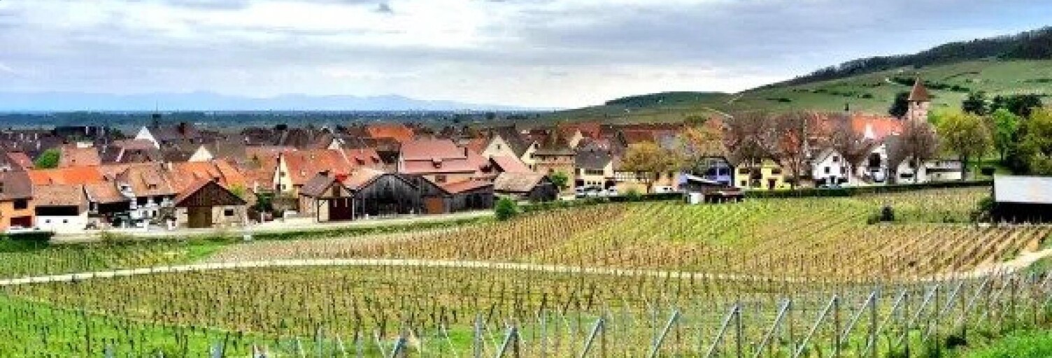 Terrain  1639 m² à vendre à Ammerschwihr (68770)