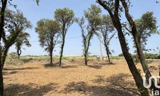 Terrain  700 m² à vendre à Bédarrides (84370)