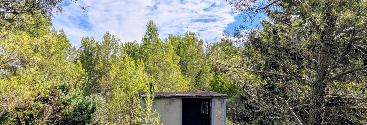 Terrain  9520 m² à vendre à Saint-Pargoire (34230)