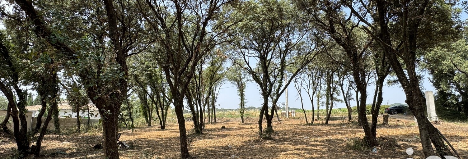 Terrain  820 m² à vendre à Bédarrides (84370)