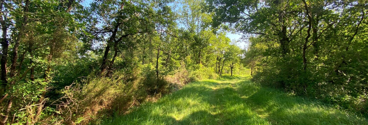 Terrain  145689 m² à vendre à Saint-Martin-l'Ars (86350)