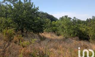 Terrain  6500 m² à vendre à Maureillas-las-Illas (66480)