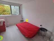 APPARTEMENT AVARICUM — photo 3