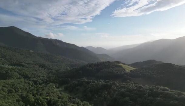 Chateau 8 pièces  à vendre Vico 20160