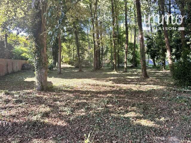 Terrain constructible arboré — photo du bien