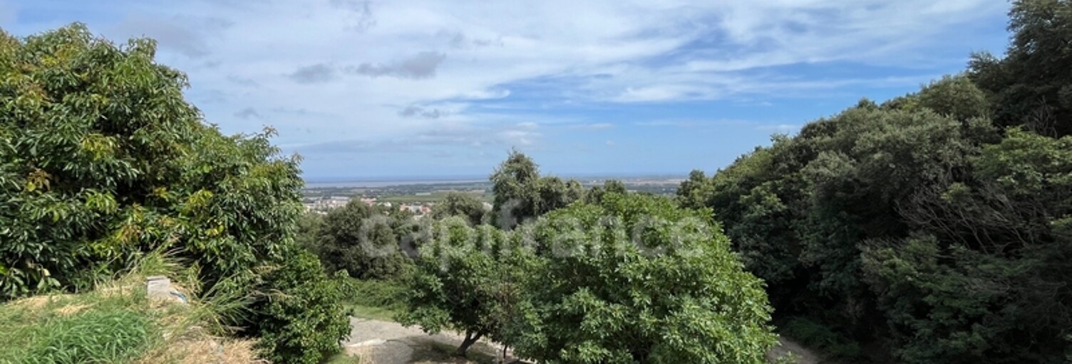 Maison 5 Pièces 131 m² à vendre à Borgo (20290)