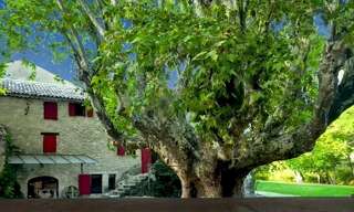 Maison 16 Pièces 390 m² à vendre à Forcalquier (04300)