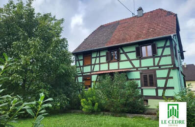 Maison alsacienne sur 9 ares 70 — photo du bien