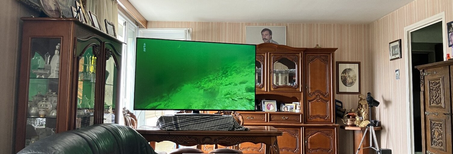 Appartement 71 m² en viager Lyon 3 (69003)