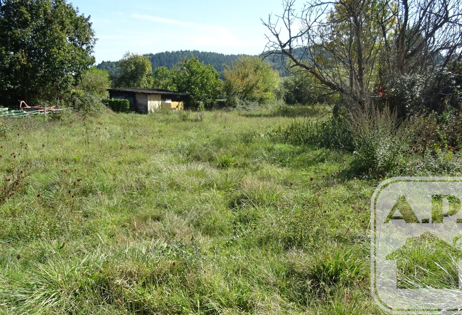 Vente terrain  1315 m² Bézac (09100) — photo 1