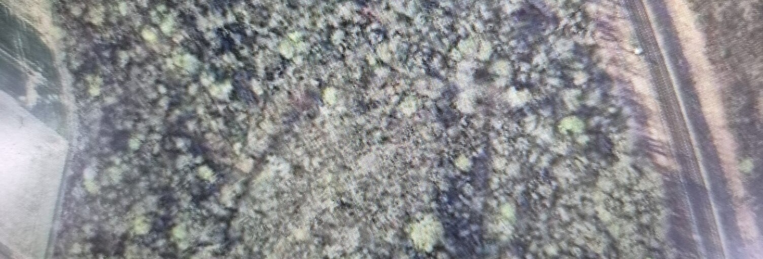 Terrain  137452 m² à vendre à Citry (77730)