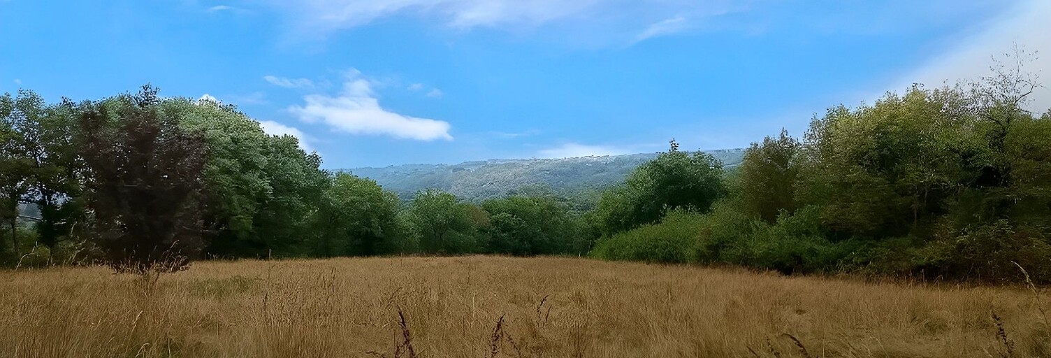 Terrain   m² à vendre à Carmaux (81400)