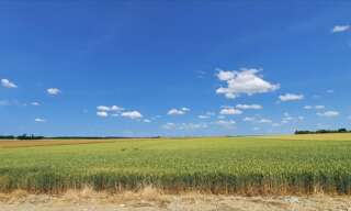 Terrain  2310000 m² à vendre à La Chapelle-Saint-Laurian (36150)