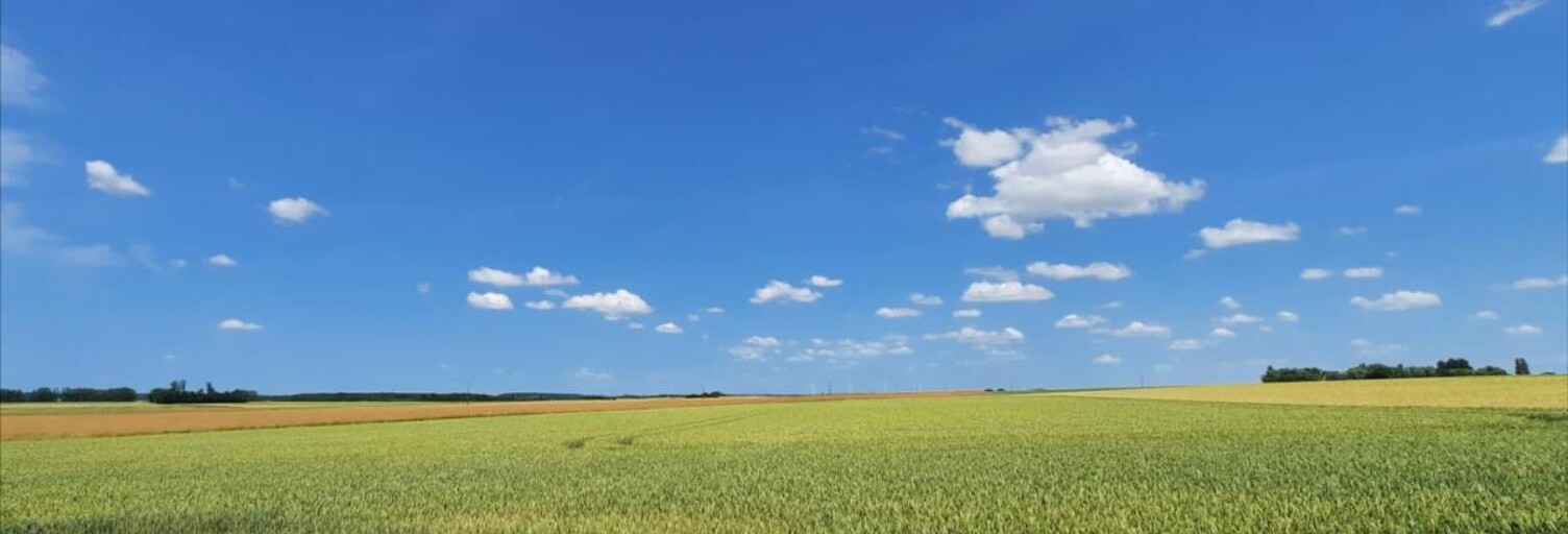 Terrain  2310000 m² à vendre à La Chapelle-Saint-Laurian (36150)