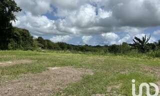Terrain  1339 m² à vendre à Sainte-Anne (97180)
