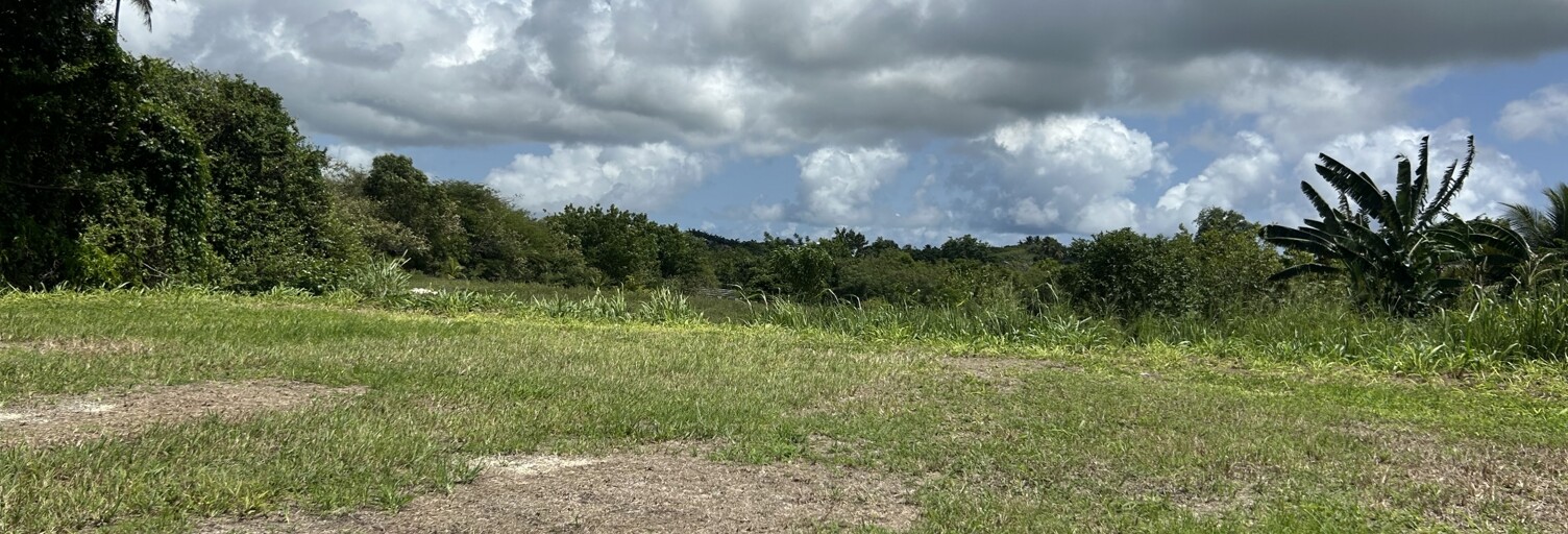 Terrain  1339 m² à vendre à Sainte-Anne (97180)