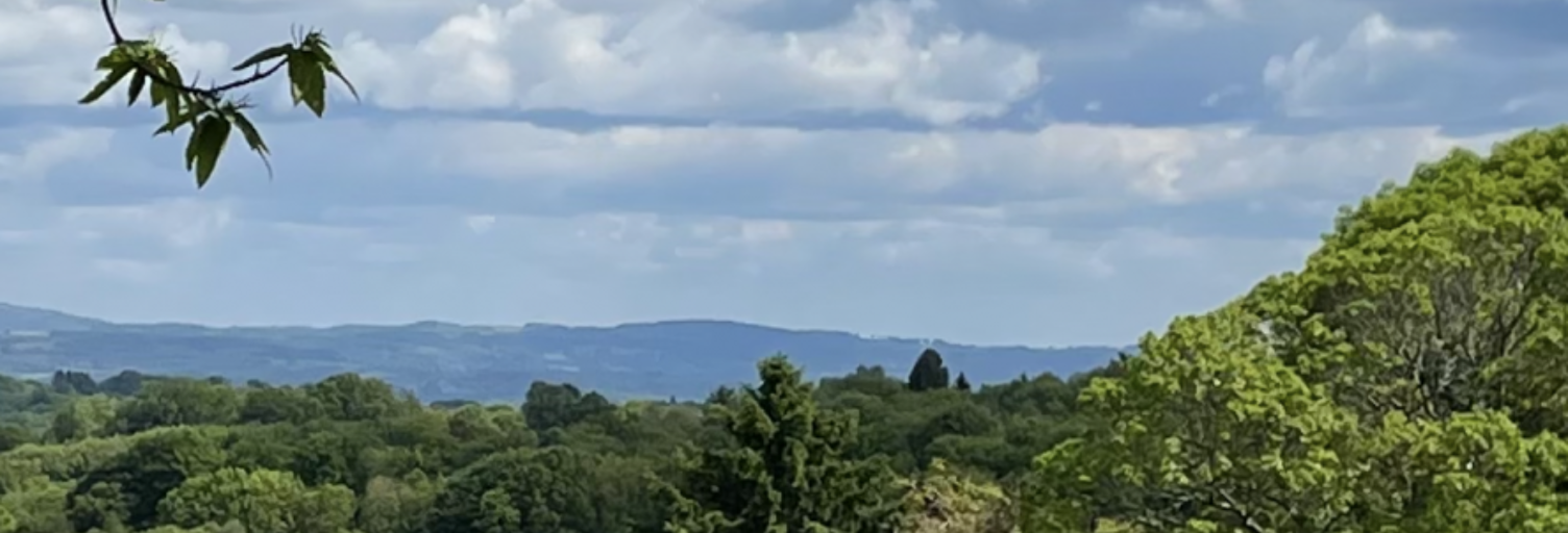 Maison 4 Pièces 97 m² à vendre à Surdoux (87130)