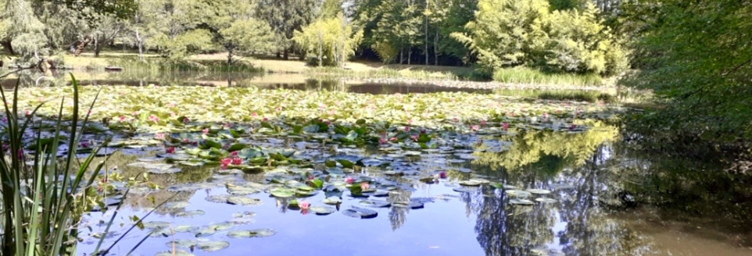 Terrain  8616 m² à vendre à Cluis (36340)