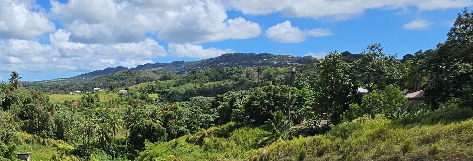 Terrain  592 m² à vendre à Ducos (97224)