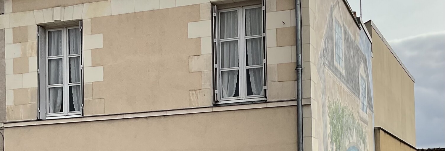 Maison 7 Pièces 181 m² à vendre à Mur-de-Sologne (41230)