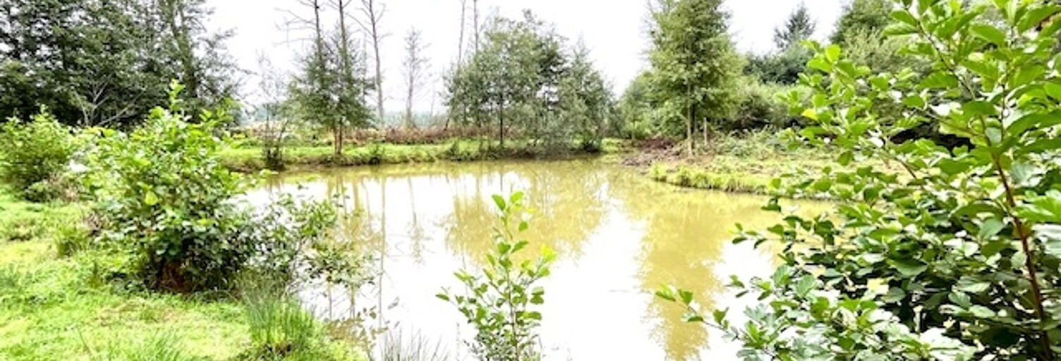 Terrain  17696 m² à vendre à Marby (08260)