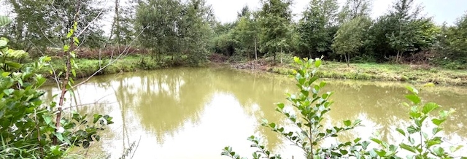 Terrain  17696 m² à vendre à Marby (08260)