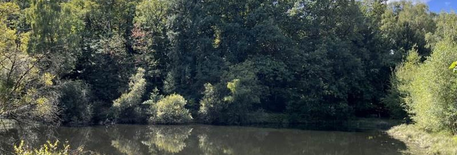 Terrain  18480 m² à vendre à Jumilhac-le-Grand (24630)