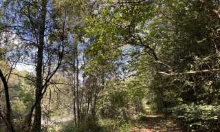 Terrain  18480 m² à vendre à Jumilhac-le-Grand (24630)