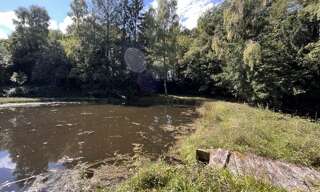 Terrain  18480 m² à vendre à Jumilhac-le-Grand (24630)