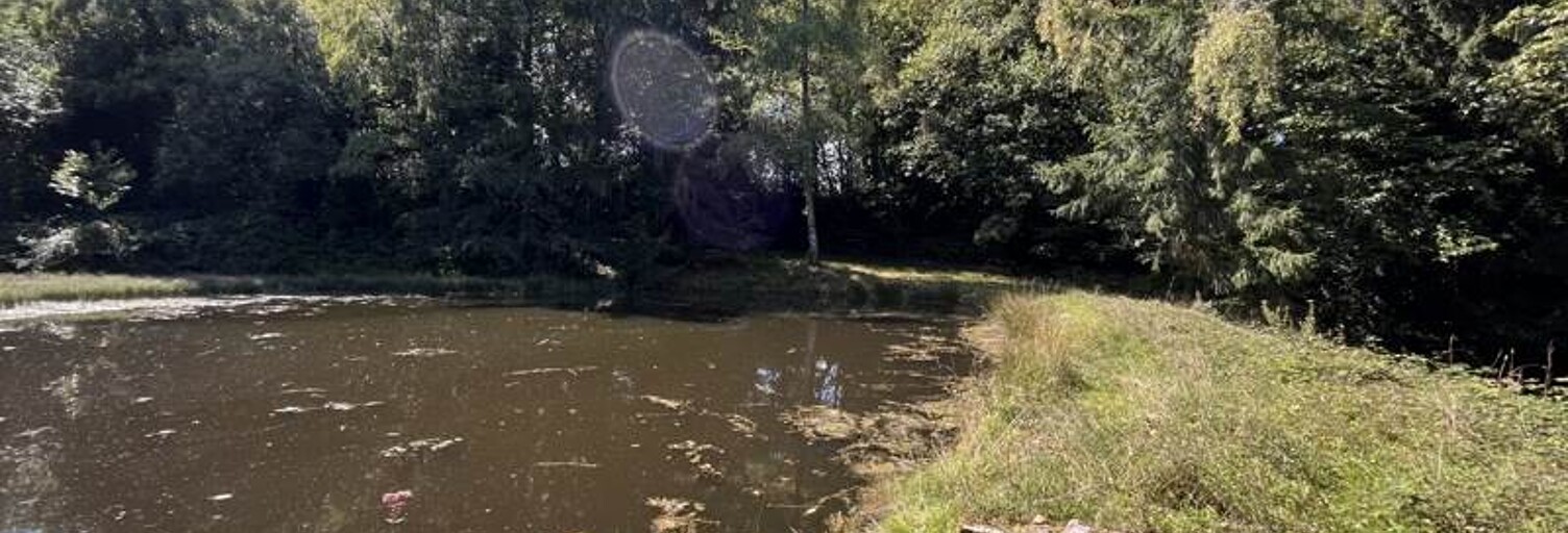 Terrain  18480 m² à vendre à Jumilhac-le-Grand (24630)