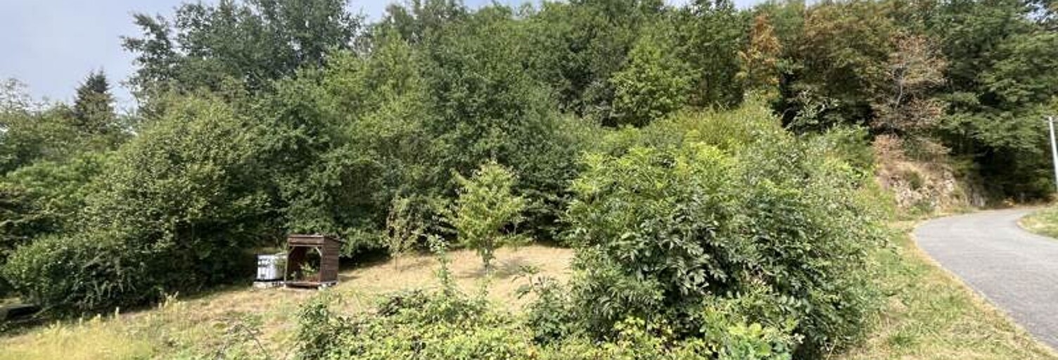 Terrain  6560 m² à vendre à Beaulieu-sur-Dordogne (19120)